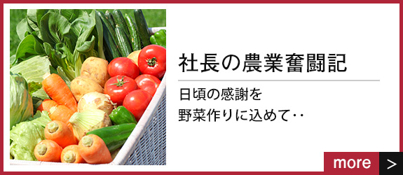 社長の農業奮闘記