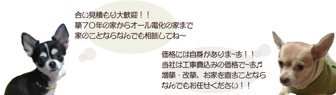 お家を直すことならなんでもお任せください！