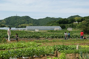 じゃがいも掘り&バーベキュー大会開催の報告