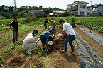 じゃがいも掘り&バーベキュー大会開催の報告