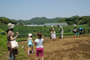 じゃがいも堀り&バーベキュー大会とリフォーム相談会2009春